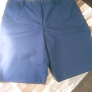 These Blue Flat Front Bermuda Shorts